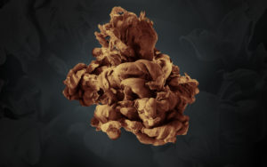 home_digital_slide_1_bg-300x188 home_digital_slide_1_bg